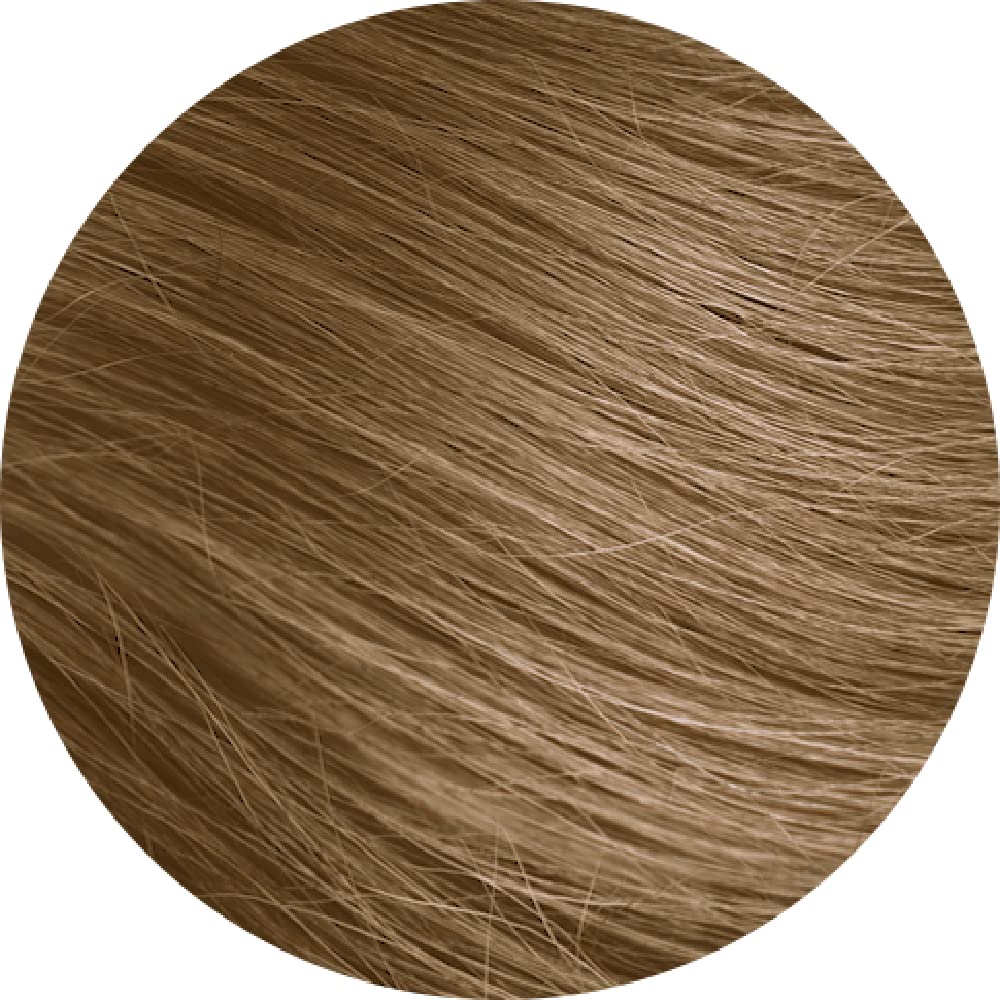 Naturtint 8N Wheat Germ Blonde Hair Color, 5.75 FZ Beauty & Personal Care Naturtint