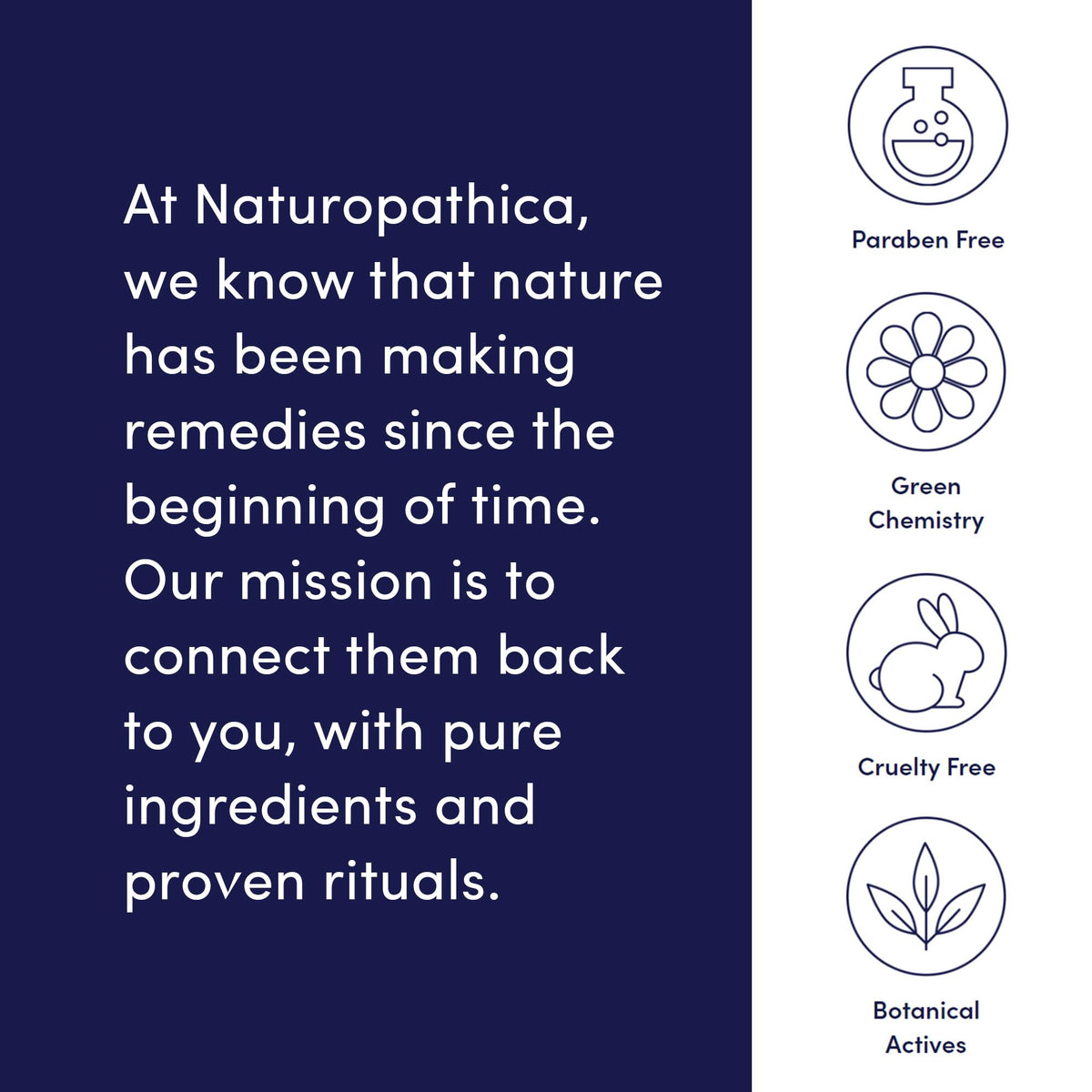Naturopathica Argan & Peptide Advanced Wrinkle Remedy Water Cream, Anti-Aging Daily Facial Moisturizer for Normal and Mature Skin, Firming Face Cream Beauty & Personal Care Naturopathica
