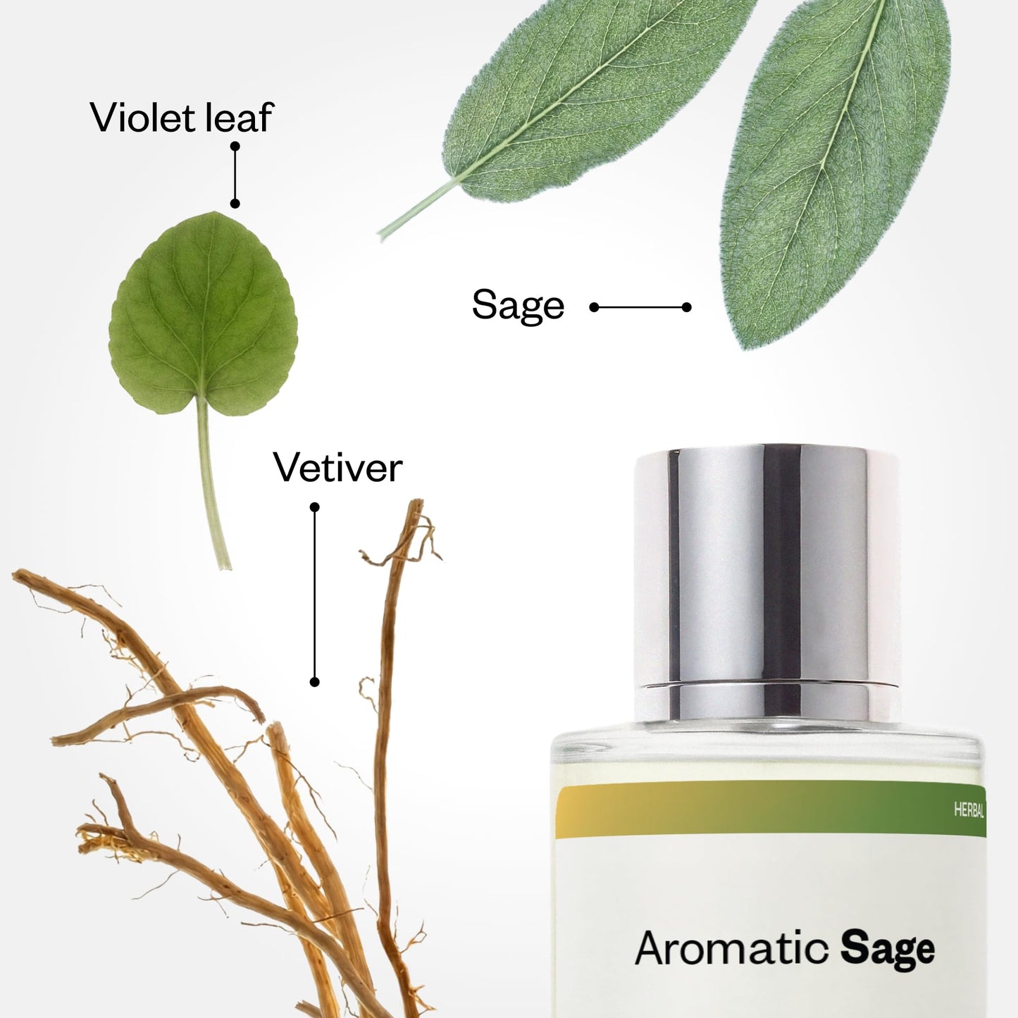 Dossier - Aromatic Sage - Eau de Parfum - Inspired by Born in Roma Uomo - Long-Lasting Fragrance - Masculine - 1.7 fl oz (50ml) Beauty & Personal Care Dossier