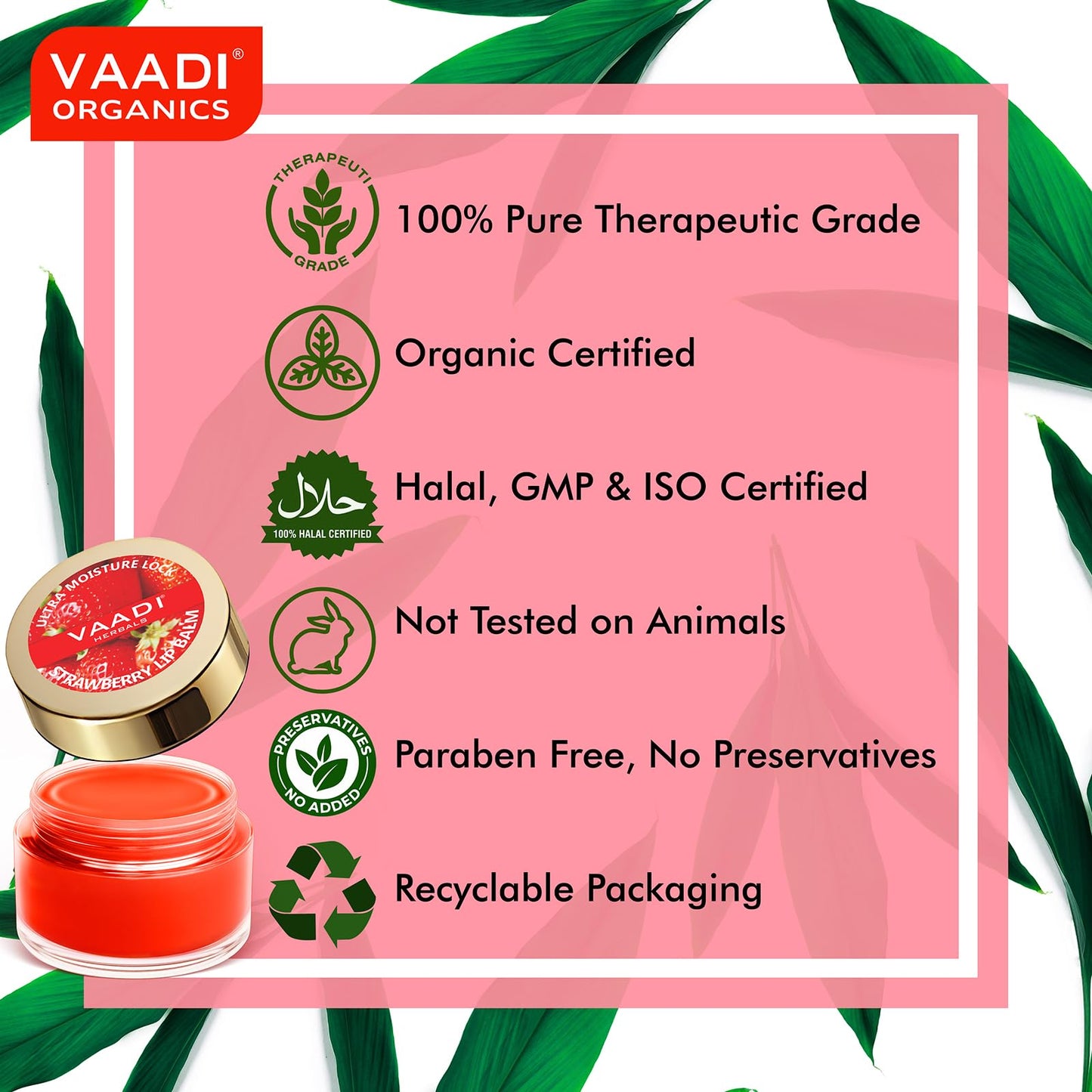 Vaadi Herbals Lip Balm, Strawberry and Honey, 10gm Beauty and Personal Care Vaadi Herbals