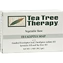 Tea Tree Therapy Eucalyptus Soap Vegetable Base - 3.5 oz Beauty & Personal Care Tea Tree Therapy