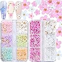 3D Flower Nail Charms, 2 Boxes 3D Acrylic Flower Nail Art Charms and Gems White Pink Mixed Cherry Blossom Spring Rhinestones Acrylic Nail Supplies Beauty & Personal Care Qdsuh