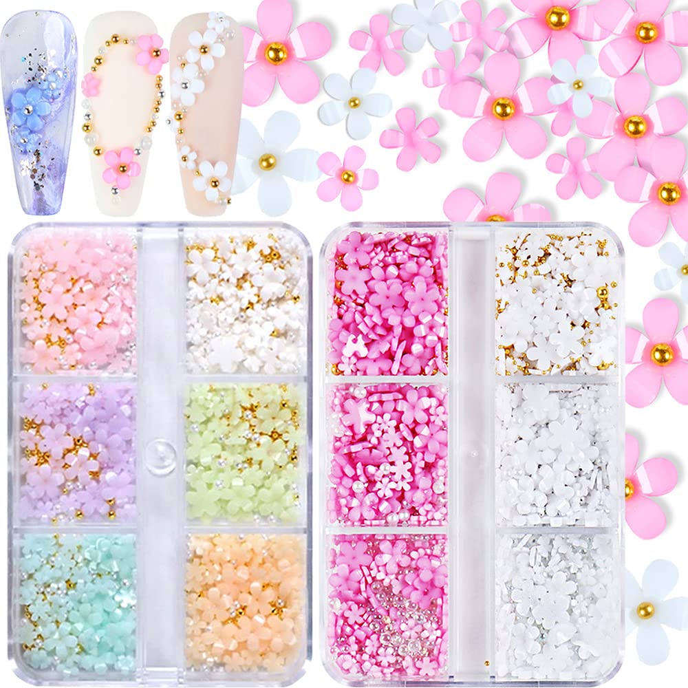 3D Flower Nail Charms, 2 Boxes 3D Acrylic Flower Nail Art Charms and Gems White Pink Mixed Cherry Blossom Spring Rhinestones Acrylic Nail Supplies Beauty & Personal Care Qdsuh