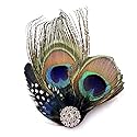 Aliotech Beautiful Butterfly Peacock Feather Hair Clip Pins with Rhinestones,Feather Hair Clip Pin Bridal Wedding Dance Party Hair Accessory Beauty & Personal Care Aliotech