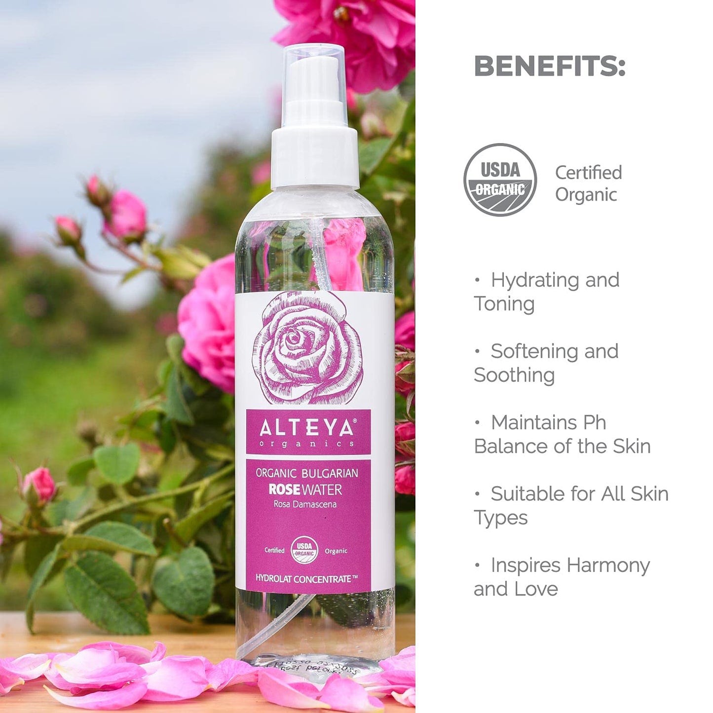 Alteya Organics Rose Water USDA Certified Organic Facial Toner, 8.5 Fl Oz/250mL Pure Bulgarian Rosa Damascena Flower Water, Award-Winning Moisturizer Beauty & Personal Care Alteya Organics