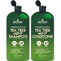 First Botany Tea Tree Mint Shampoo & Conditioner for Men & Women - Pure Tea Tree & Peppermint Oil - Fights Hair Loss, Dandruff, Lice & Itchy Scalp Beauty & Personal Care First Botany