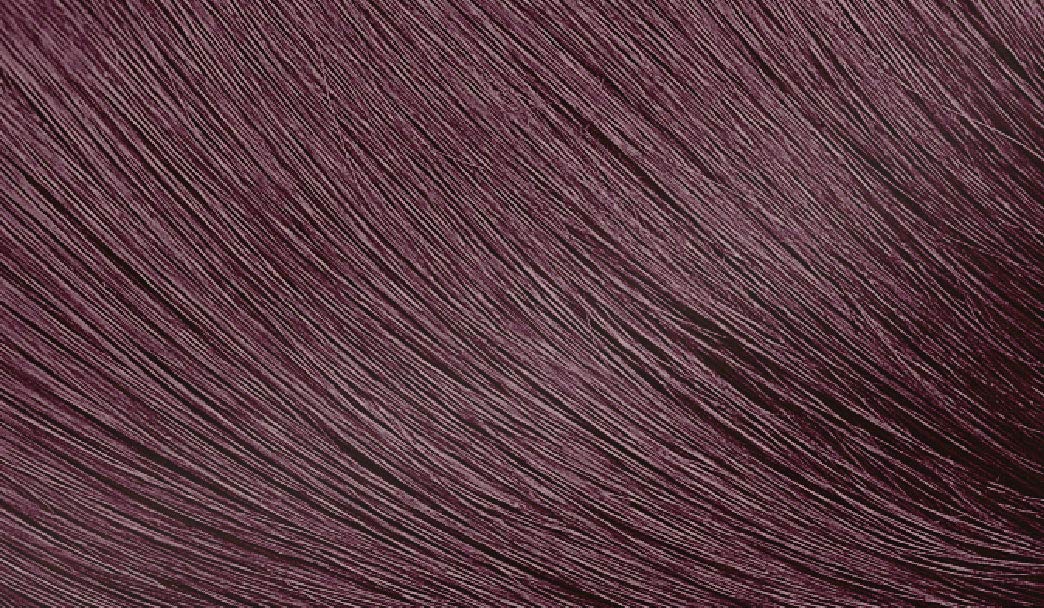 Bigen Speedy Conditioning Color Kit: 4B Burgundy Brown - 3 Pack Beauty & Personal Care Bigen