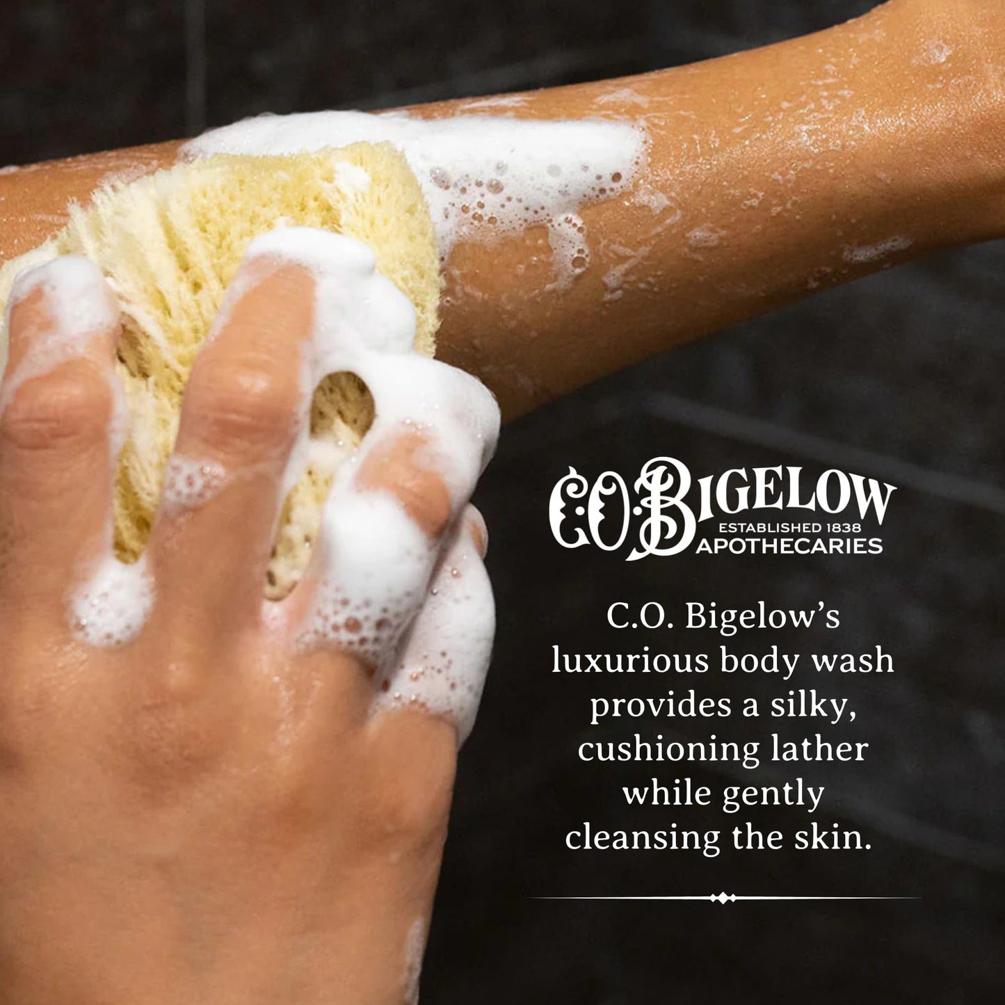 C.O. Bigelow Iconic Collection Vetiver Body Wash, Scented Shower Gel with Coconut Oil and Aloe Vera, 10.5 fl oz Beauty & Personal Care C. O. Bigelow