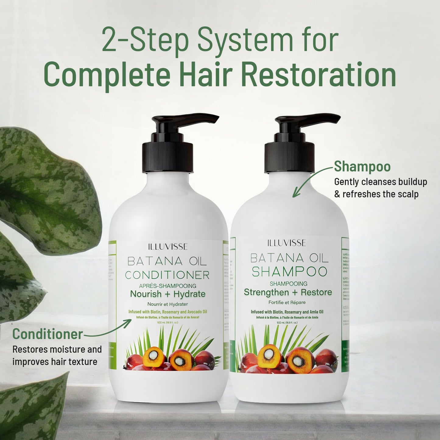 ILLUVISSE Batana Oil Shampoo and Conditioner Set for Hair Growth & Thickening, Organic Rosemary, Tea Tree Oil, Biotin & Aloe Vera Formula for Men Beauty & Personal Care ILLUVISSE