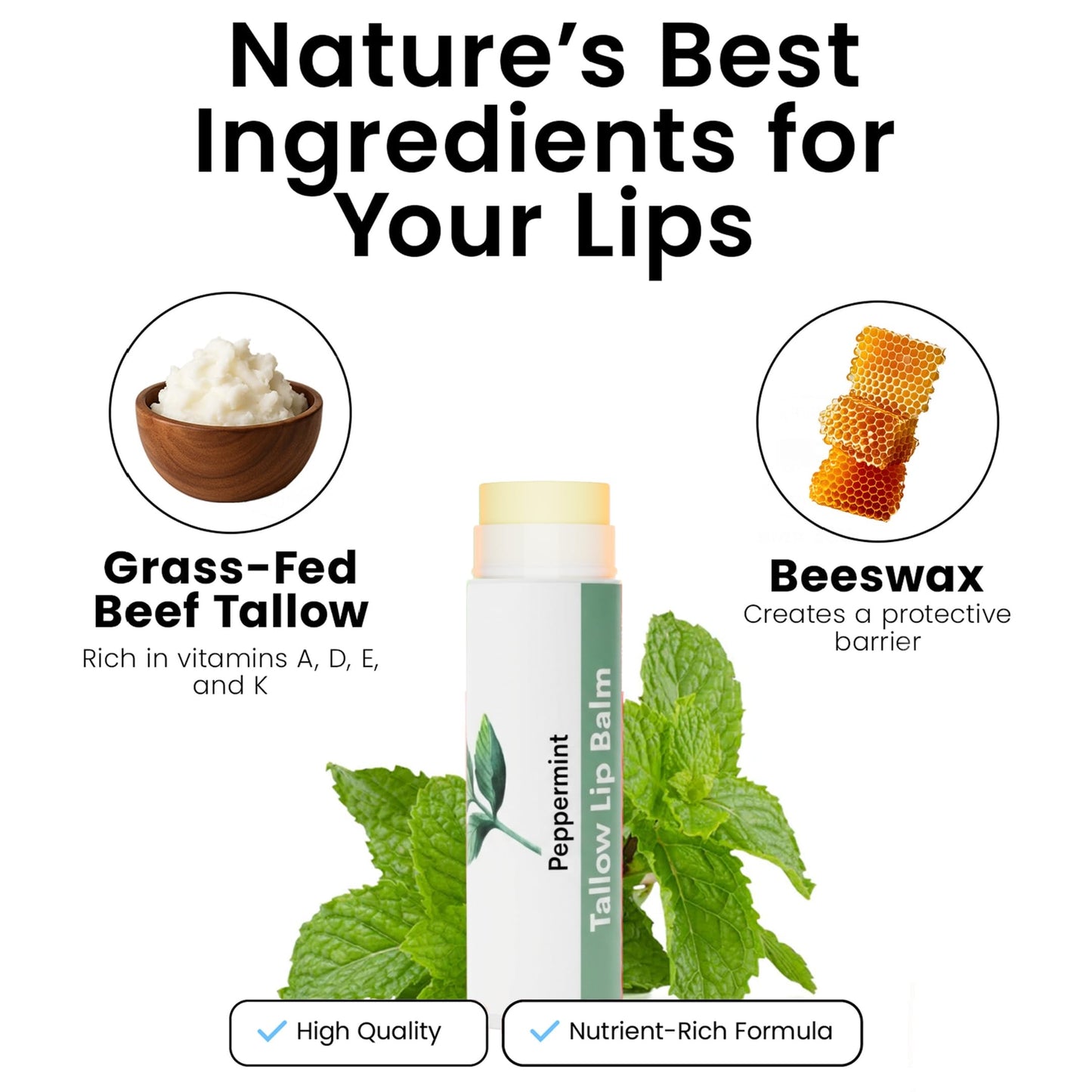 Tallow Lip Balm by Cattle Creek - All-Natural Ingredients, Long-Lasting Moisture and Hydration for Dry, Cracked, and Chapped Lips, Soothing Formula Beauty & Personal Care Cattle Creek Mercantile