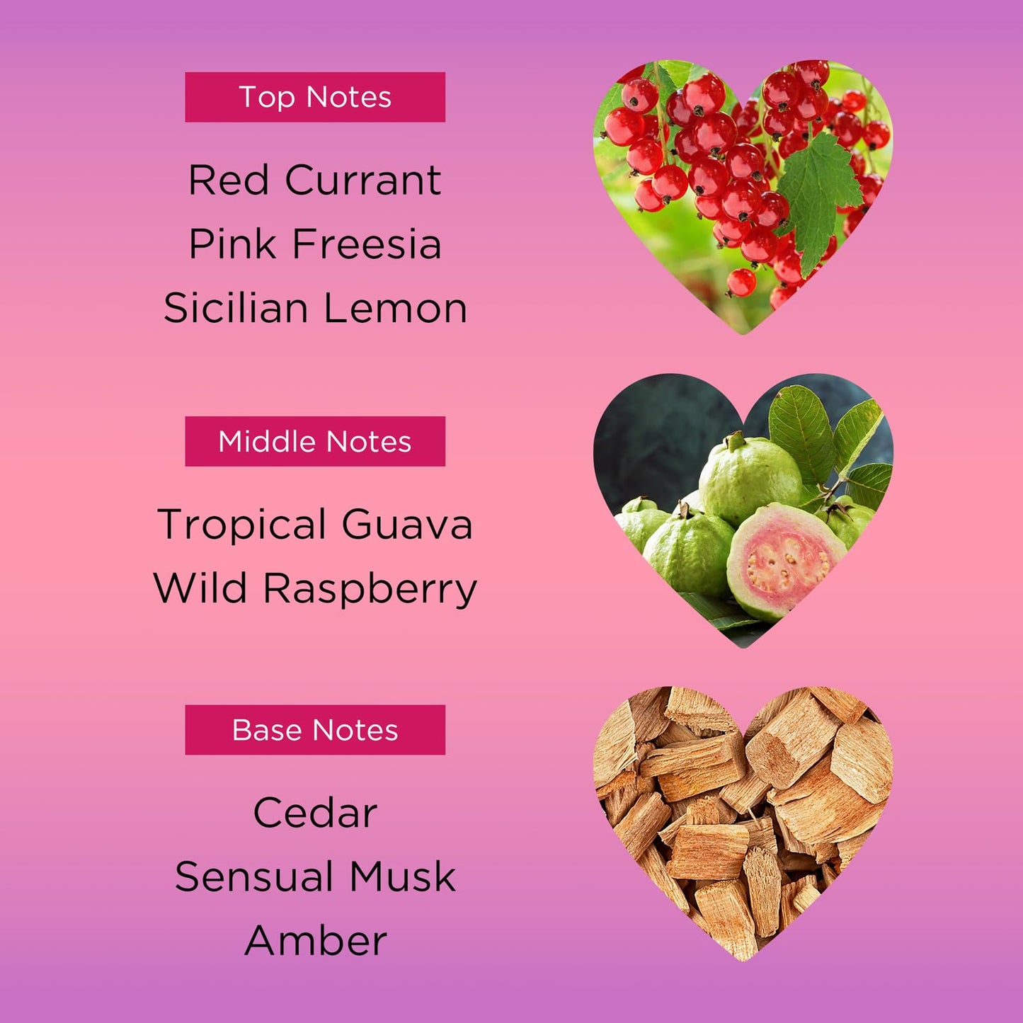 Bebe Love Body Mist - Body Spray for Women - Floral Fruity Fragrance Mist - Romantic Scent with Sicilian Lemon, Redcurrant, and Pink Freesia - 8.4 oz Beauty & Personal Care bebe