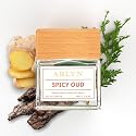 ARLYN Spicy Oud Eau De Parfum Inspired by T. Ford Oud Wood, Perfume for Men, Luxury Fragrance - Vegan, Cruelty-Free, and Eco-Conscious (1.7oz / 50ml) Beauty & Personal Care ARLYN BY BELLEVUE PARFUMS