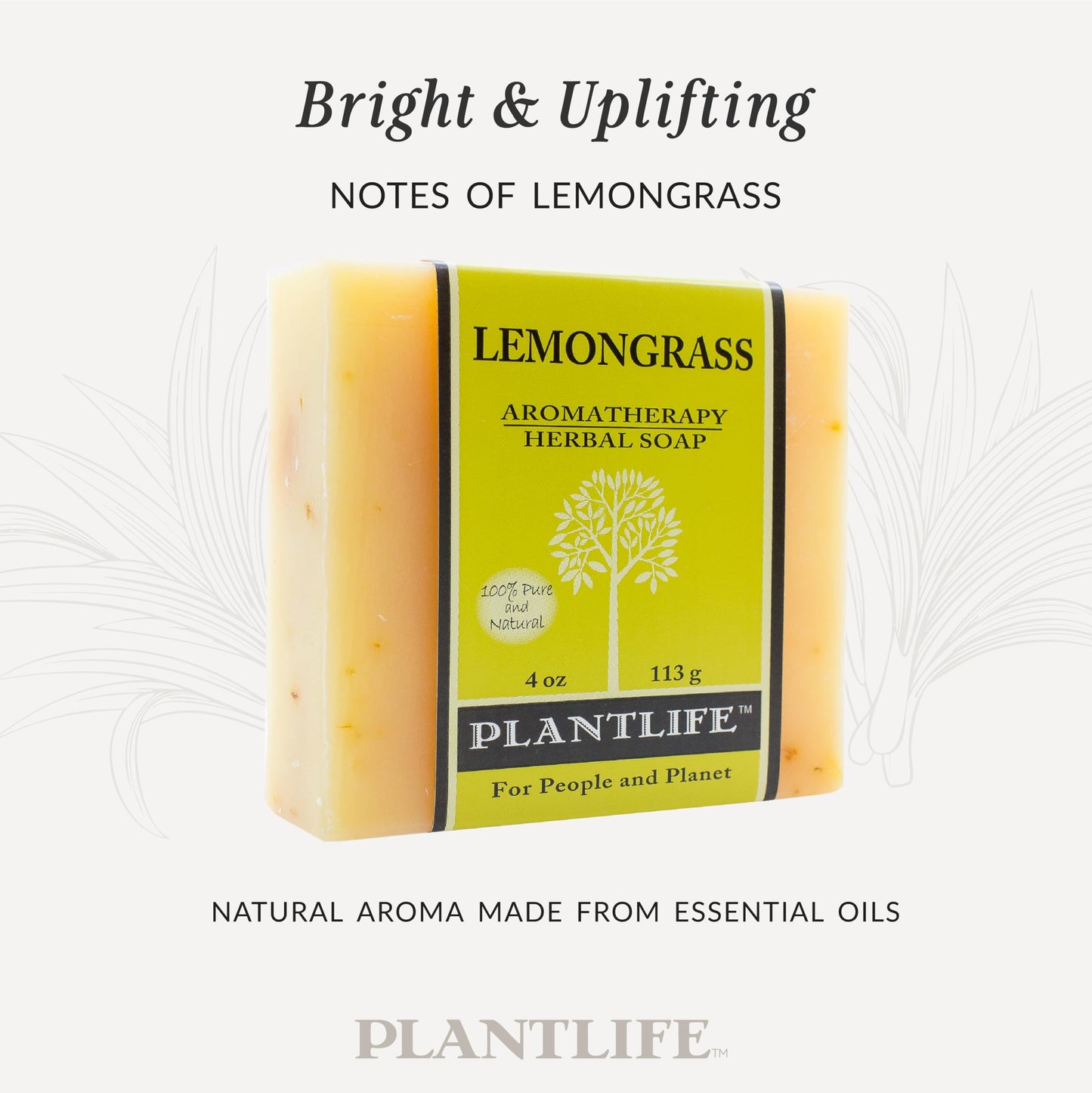 Plantlife Lemongrass Bar Soap - Moisturizing and Soothing Soap for Your Skin - Hand Crafted Using Plant-Based Ingredients - Made in California 4oz Bar Beauty & Personal Care Plantlife