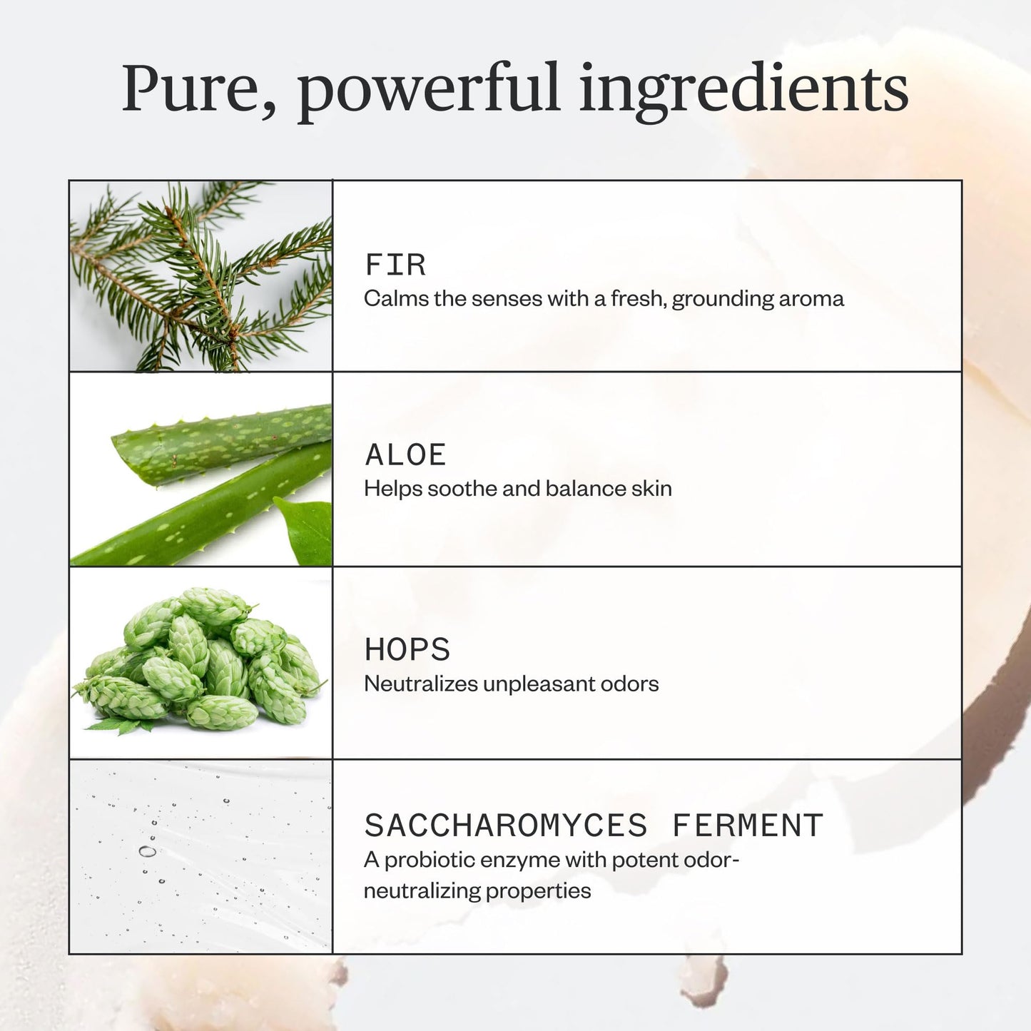Ursa Major Natural Deodorant - Forest Fix - Aluminum-Free, Non-staining and Cruelty-Free - 2.6 ounces Beauty and Personal Care Ursa Major