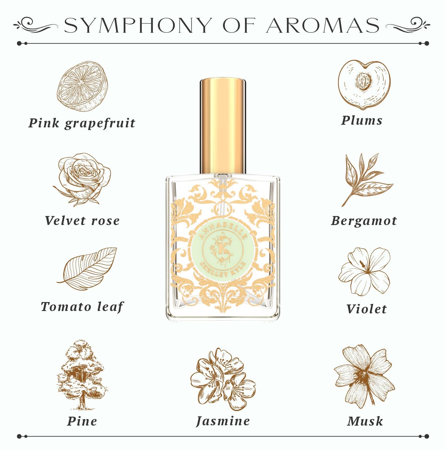 Shelley Kyle Annabelle Perfume, Luxurious Floral-Scented, Light, Yet Fun Scent, 60 ml Beauty & Personal Care Shelley Kyle