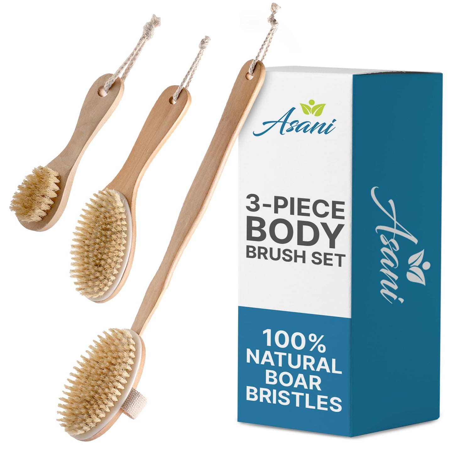 Asani Dry Brushing Body Brush Set for Lymphatic Drainage & Cellulite - 3-Pcs Detachable Back, Contour Body & Face Brushes Organic Gift for Dry Skin Beauty & Personal Care Asani
