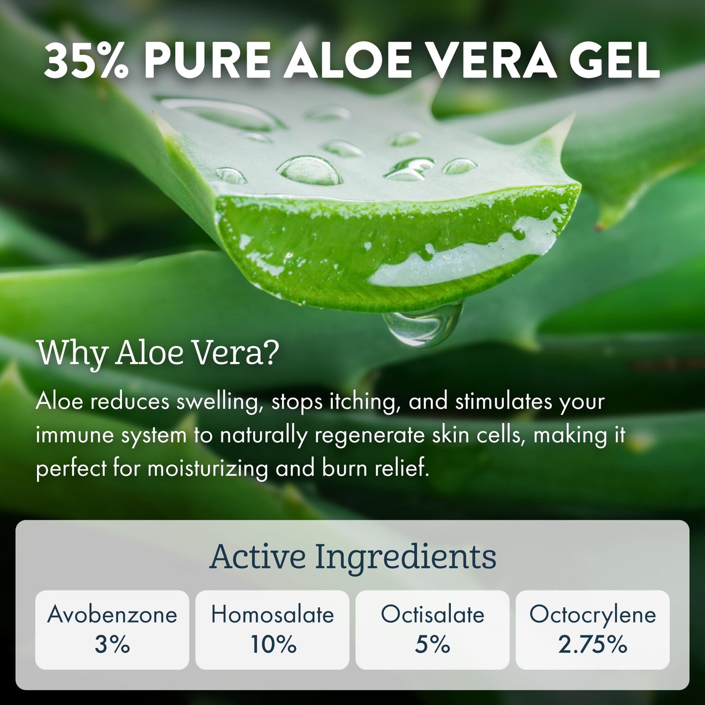 Aloe Up White Collection Sunscreen Spray SPF 30 | Broad Spectrum Sunscreen Mist for Face and Body | Aloe Vera Gel Water Resistant up to 80 Minutes | Beauty & Personal Care ALOE UP