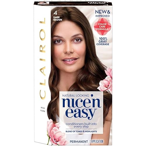 Clairol Nice&Easy 4 Dark Brown Hair Color Beauty & Personal Care Clairol