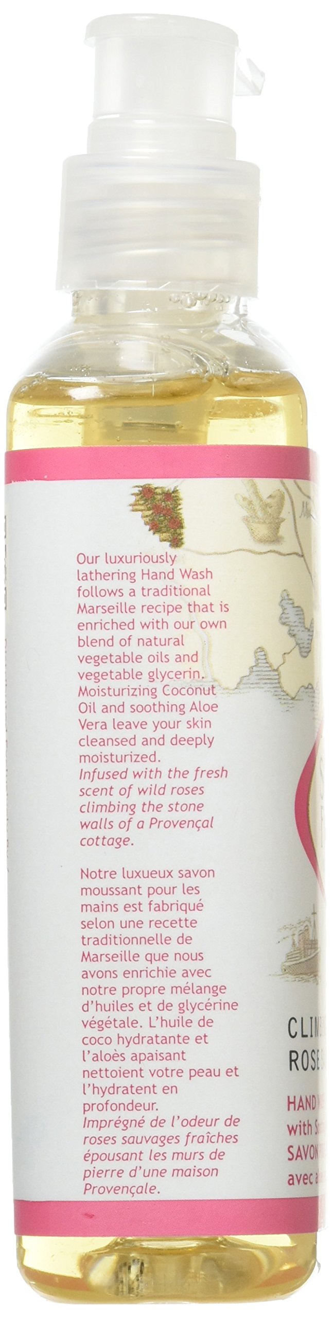 South of France Hand Wash, Climbing Wild Rose, 8 Oz Beauty & Personal Care South Of France