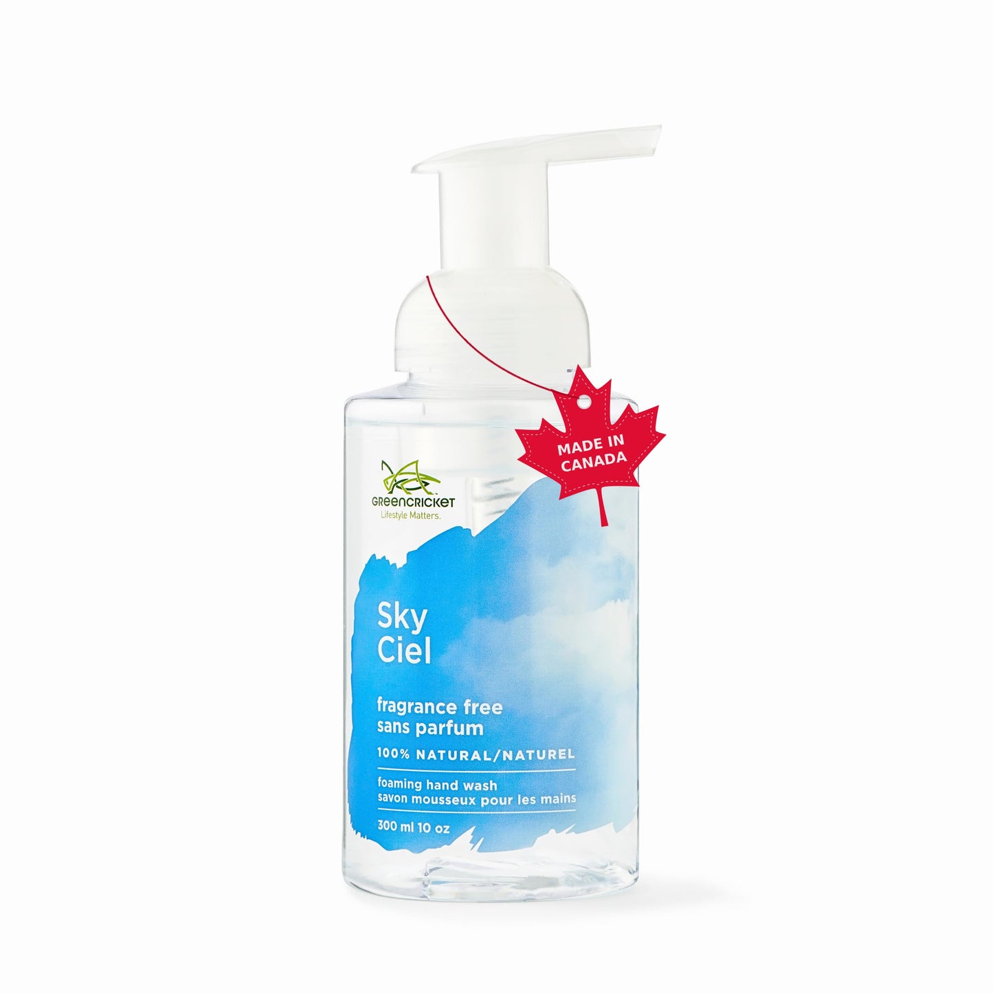 THE GREEN CRICKET Sky Fragrance Free Foam Hand Wash, 300 ML Beauty & Personal Care GREENCRICKET