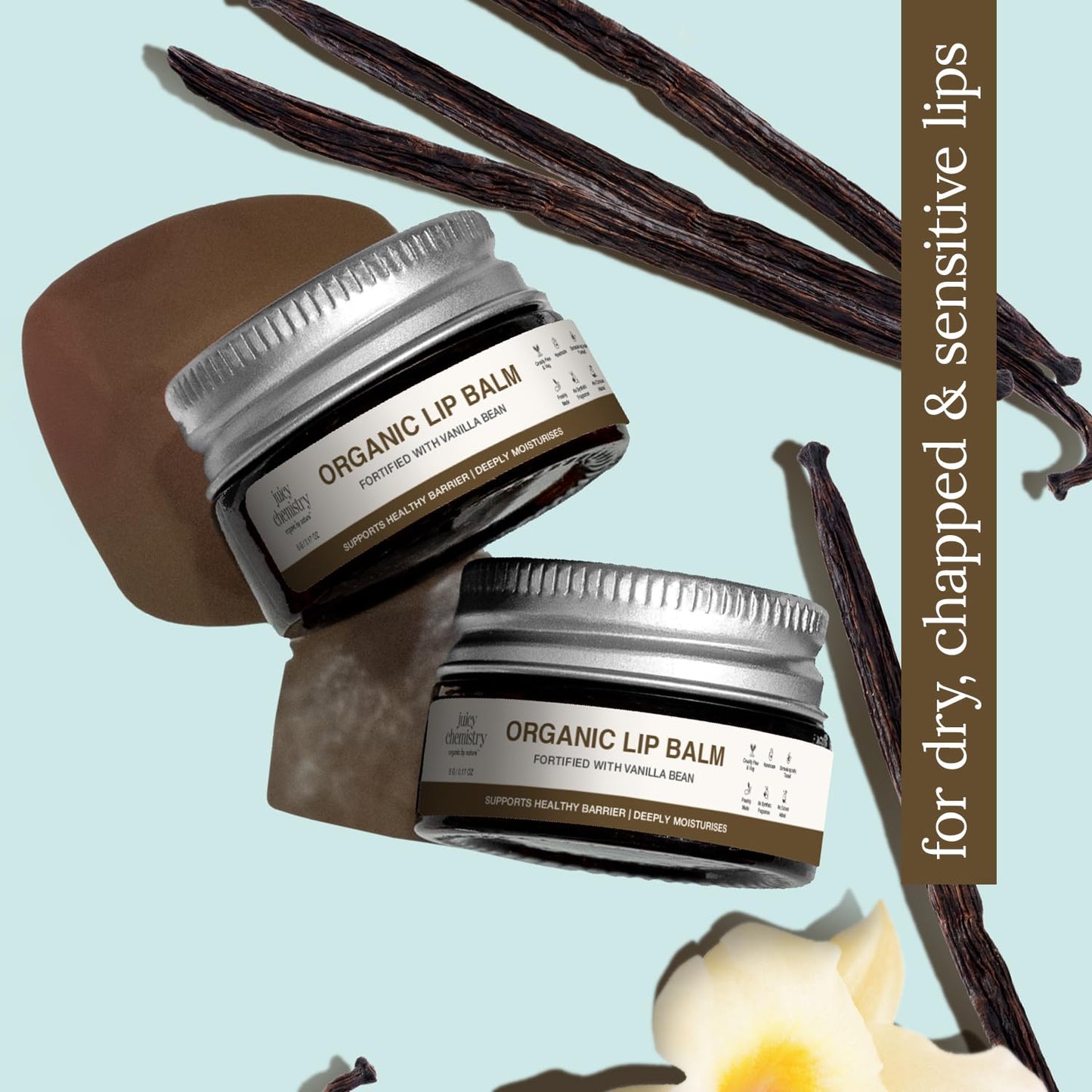 Juicy Chemistry Vanilla Bean Organic Lip Balm, 5 g - Enriched with Delicate, Dreamy, Vanilla Beans, Cocoa Butter, Jojoba & Argan Oil to Smooth Beauty and Personal Care Juicy Chemistry