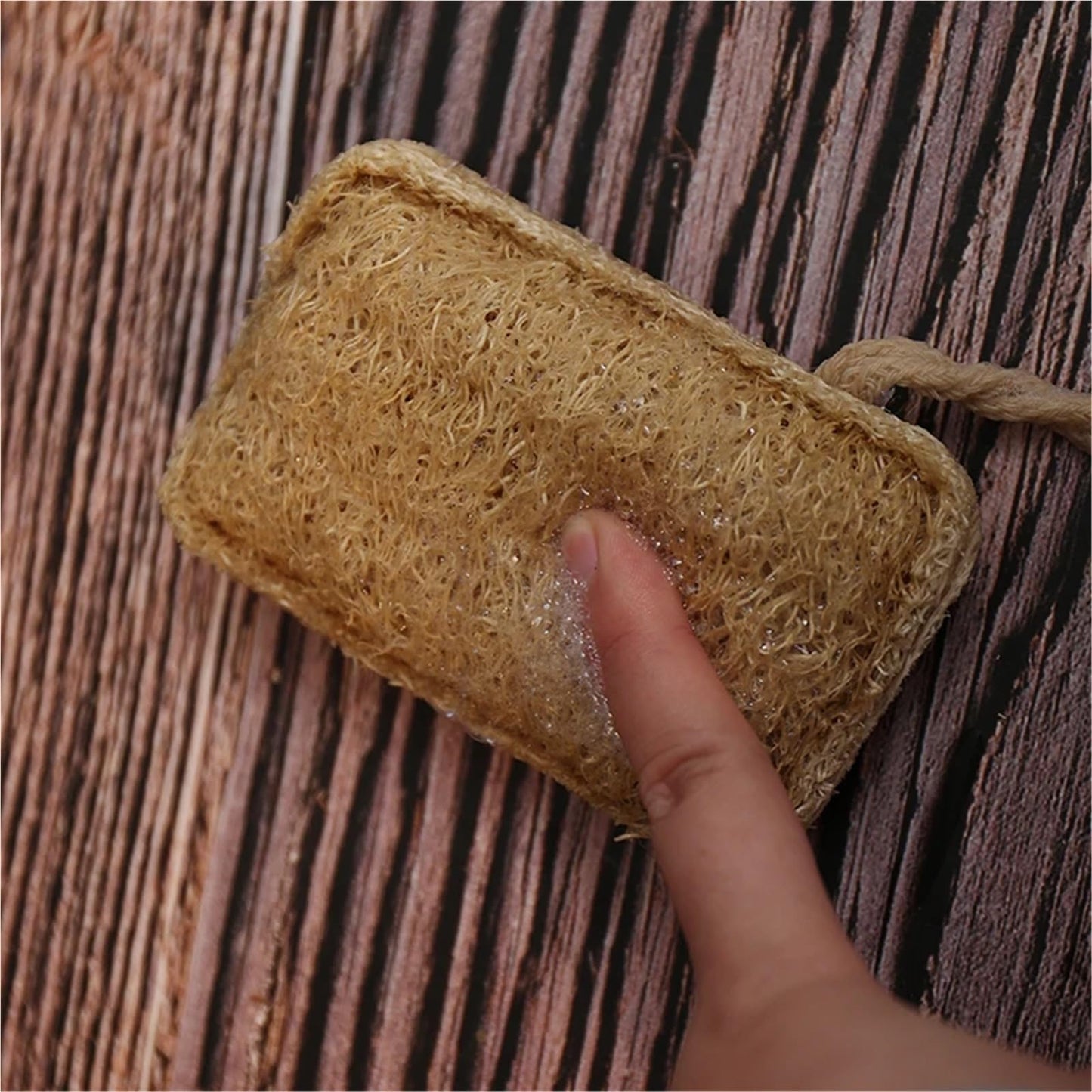 Kitchen Loofah Sponge Greener Clean Tools Non-Scratch Brush Natural Dish Scrubbers Luffa Loofa Lufa Sponge Tools(1 pcs) Beauty and Personal Care HIVJEEDYH
