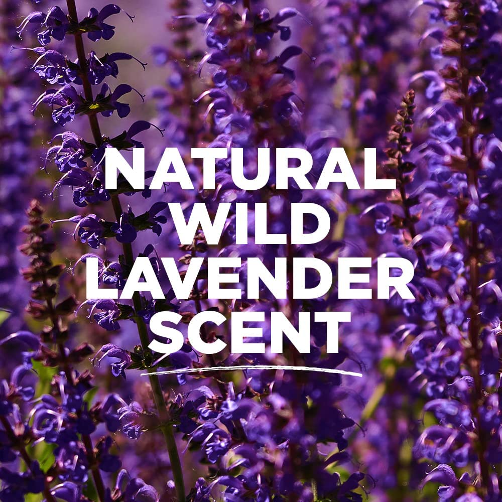 Tom's of Maine Natural Long-Lasting Deodorant Stick Lavender 2.25 Oz (Pack of 2) Beauty and Personal Care Tom's of Maine