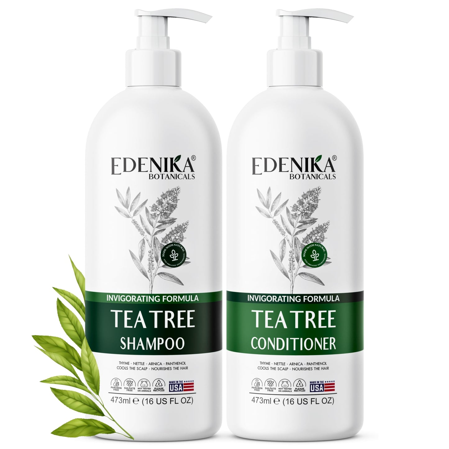 EDENIKA BOTANICALS Tea Tree Oil Shampoo and Conditioner Set, Deep Cleansing for Buildup & Oily Scalp, Soothes Itchy Scalp & Refreshes Hair, Sulfate Beauty & Personal Care EDENIKA BOTANICALS