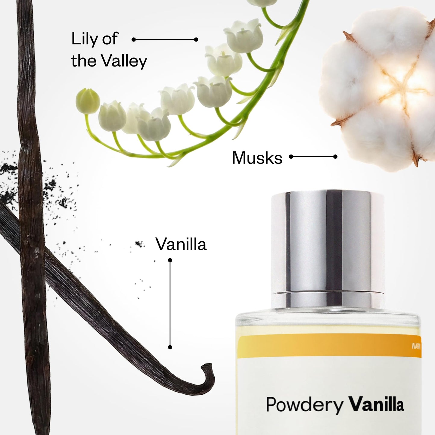 Dossier - Powdery Vanilla - Eau de Parfum - Inspired by Vanilla Skin - Long-Lasting Fragrance - Unisex - 1.7 fl oz (50ml) Beauty & Personal Care Dossier