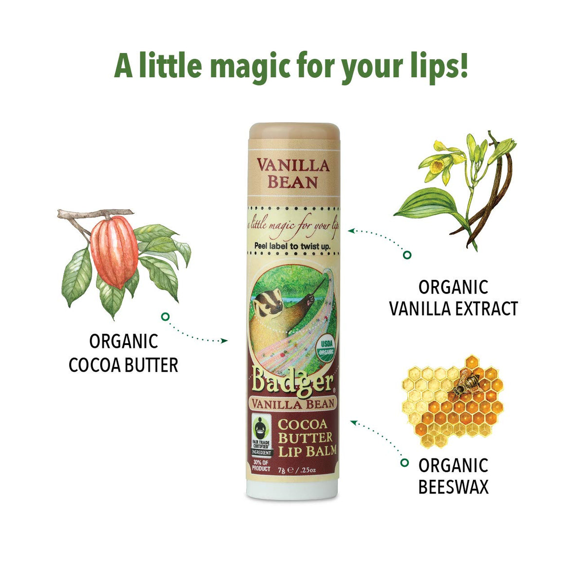 Badger - Cocoa Butter Lip Balm, Creamy Cocoa, Certified Organic Lip Balm, Fair Trade, Natural Lip Balm, Lip Butter, Lip Balm Cocoa Butter, Cocoa Care Beauty & Personal Care Badger