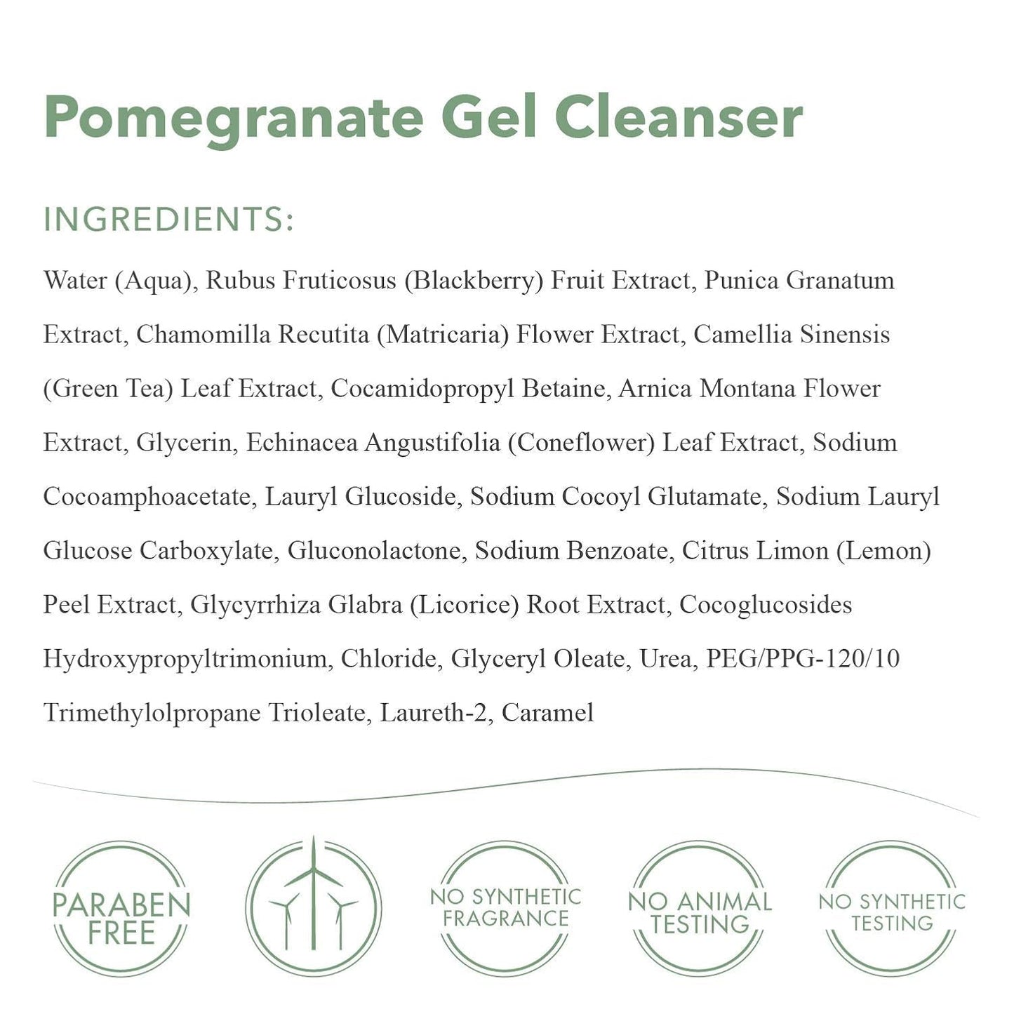 emergin C Pomegranate Gel Cleanser - Hydrating Face Wash with Fruit Extracts + Green Tea - Contains Vitamins A, C + E (8.1 oz, 240 ml) Beauty & Personal Care emergin C