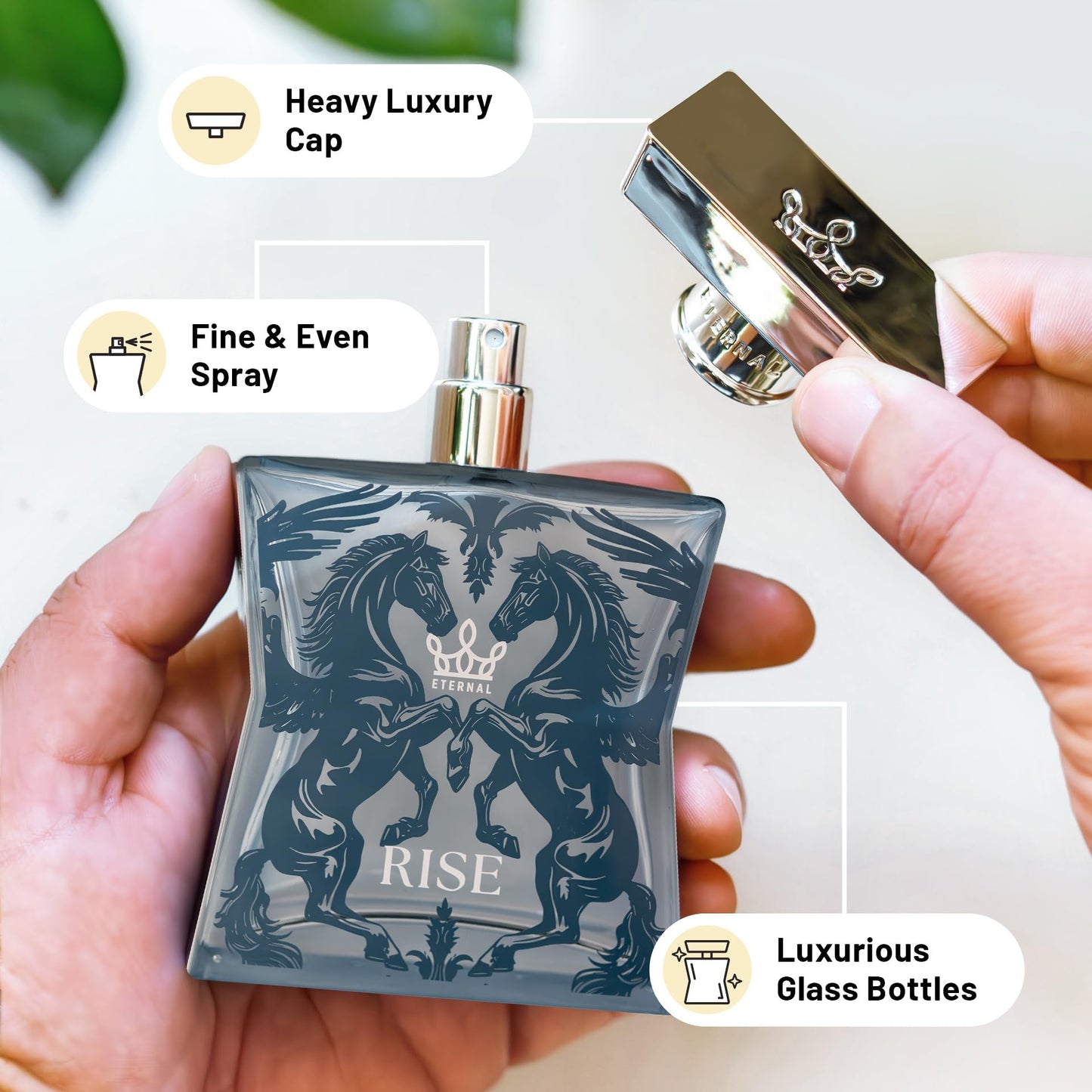 Eternal Fragrance - Eternal Rise - Inspired by Layton - 3.4 oz (100ml) - Eau de Parfum - Long-lasting - Vegan - Clean Ingredients - Cologne Spray Beauty & Personal Care Eternal Fragrance