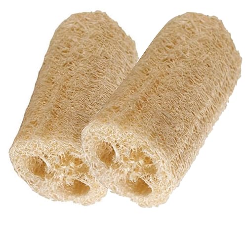 HealthGoodsIn - Organic Loofa Natural Bath Sponge, Set of 2 Exfoliating Bath Sponge Scrubber | Naturally Grown Loofah (Set of 2) Beauty & Personal Care HealthGoodsIn