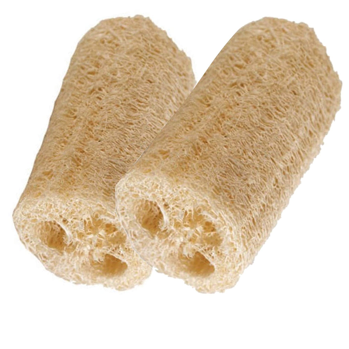 HealthGoodsIn - Organic Loofa Natural Bath Sponge, Set of 2 Exfoliating Bath Sponge Scrubber | Naturally Grown Loofah (Set of 2) Beauty & Personal Care HealthGoodsIn
