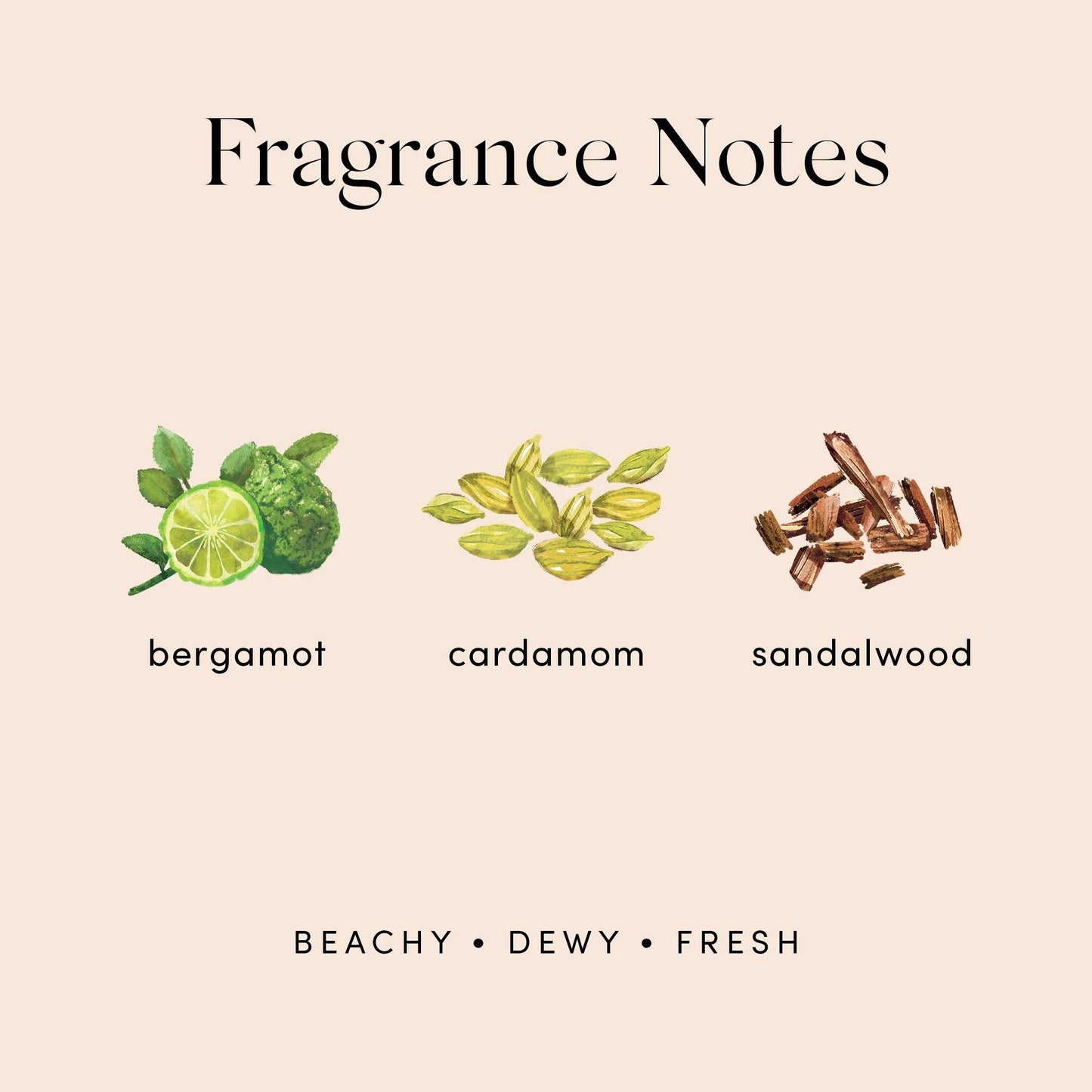 Isle Rollie Perfume By Skylar - Travel Size - Layerable Fragrance - Paraben Free, Vegan, Cruelty Free, Phthalate Free - Beachy and Fresh Scent - Notes Beauty & Personal Care Skylar