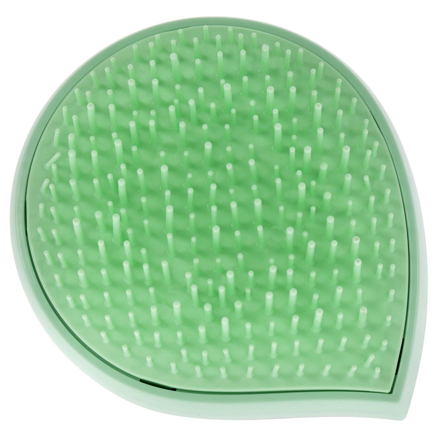 Michel Mercier Pack and Go Detangler - Unisex Detangling Hair Brush - Mini Portable Travel Size, Compact Brush - Regular Hair - Green-Pink - 1 pc Beauty & Personal Care Michel Mercier
