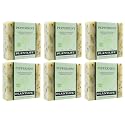 Plantlife Peppermint 6-pack Bar Soap - Moisturizing and Soothing Soap for Your Skin - Hand Crafted Using Plant-Based Ingredients - Made in California Beauty & Personal Care Plantlife