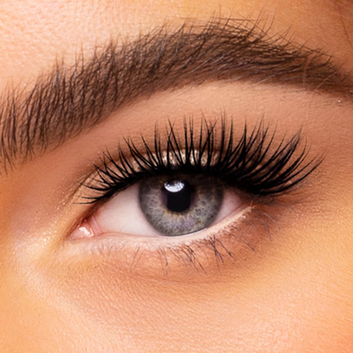 wet n wild Mega Protein Waterproof Mascara, Very Black, 0.21 Ounce,C154A Beauty & Personal Care wet n wild