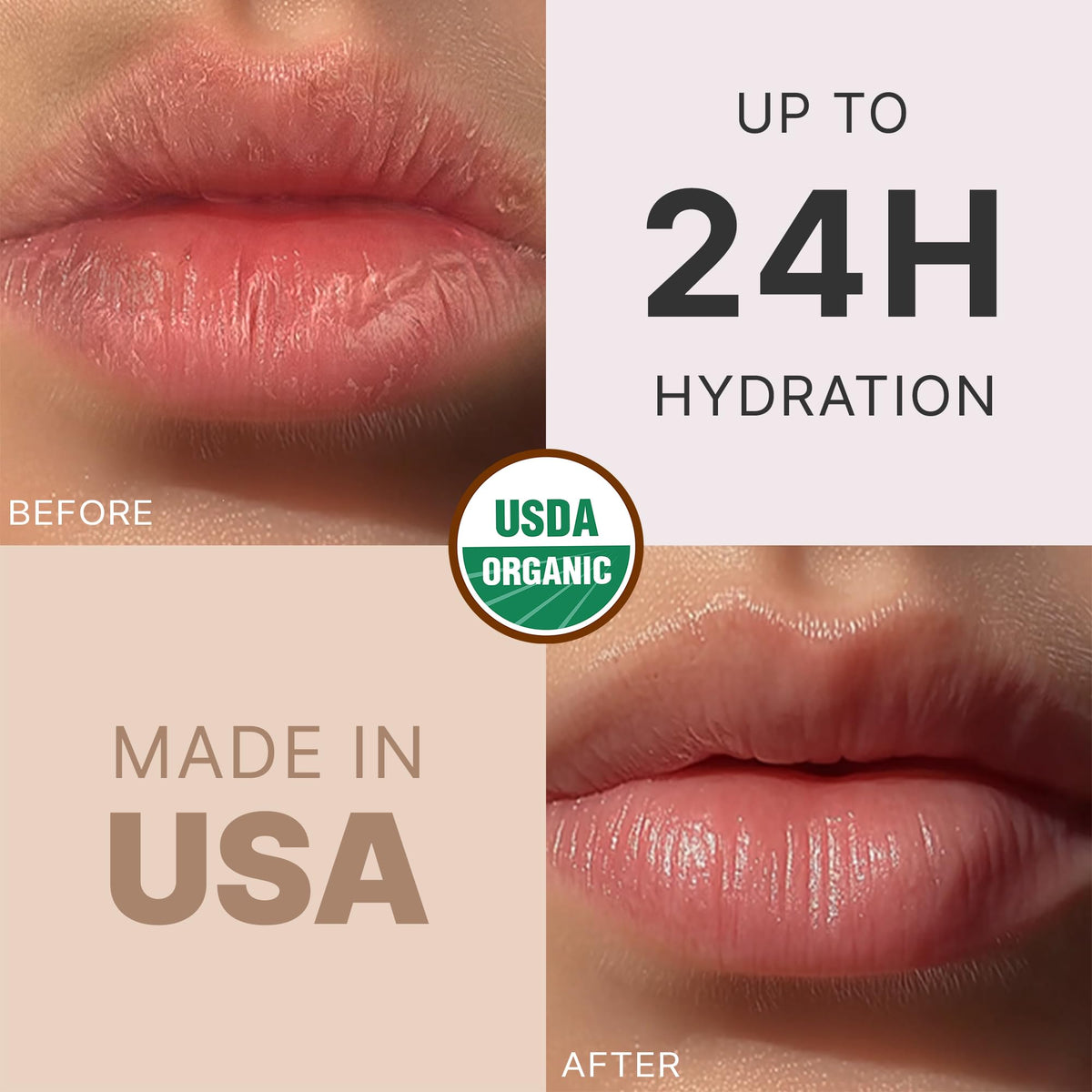 USDA Organic Lip Balm - USA Made with Natural Ingredients - 12-Pack (6 flavors) - Beeswax, Coconut Oil, Vitamin E - Moisturizing Chapstick for Dry Beauty & Personal Care Beauty by Earth