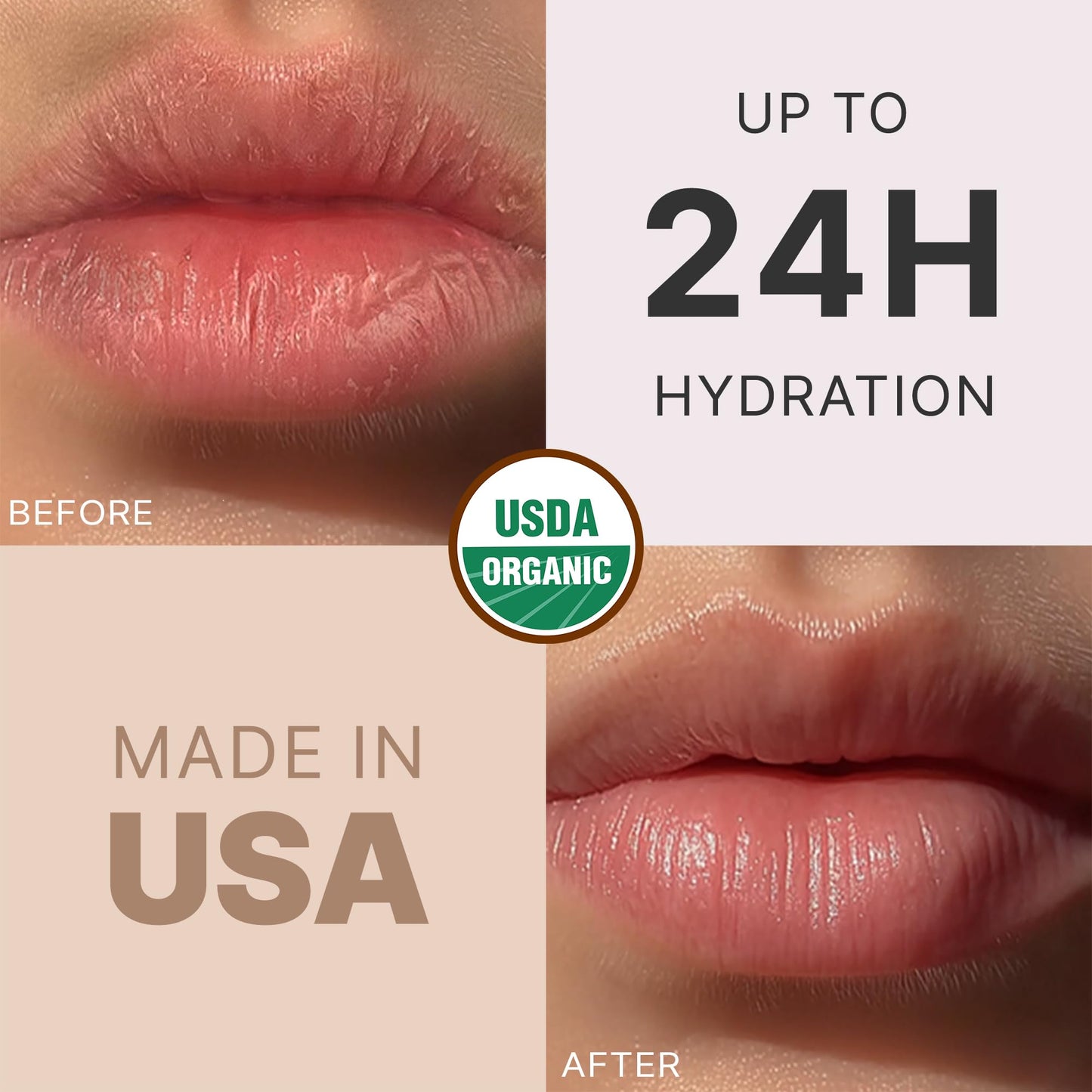 USDA Organic Lip Balm - USA Made with Natural Ingredients, Mens Stocking Stuffers, 4 Pack Unflavored Chapstick for Dry Lips, Beauty Birthday Gifts Beauty & Personal Care Beauty by Earth