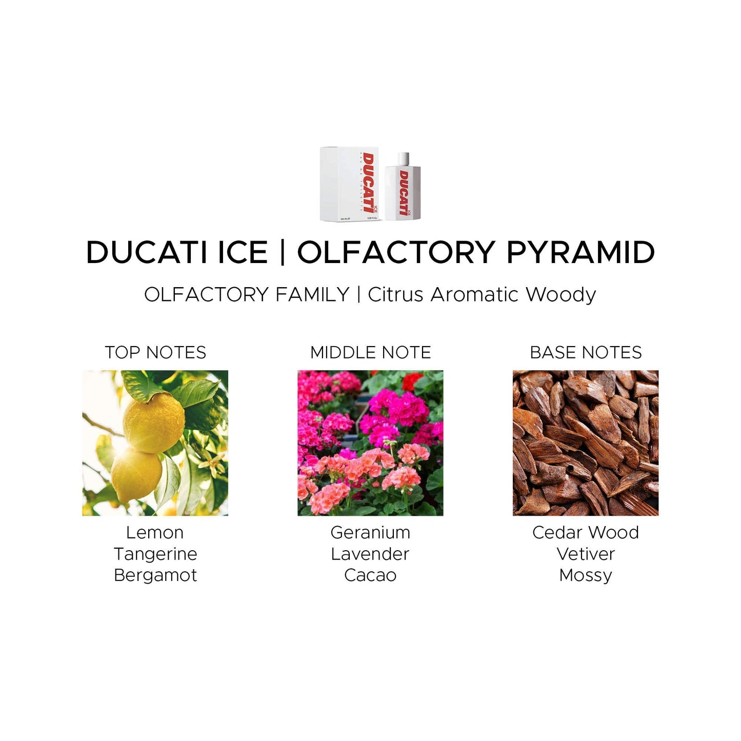 Ducati Ice by Ducati - Deodorant Spray for Men - Woody Aromatic Scent - Opens with Tangerine, Lemon and Bergamot - Blended with Lavender and Sage Beauty and Personal Care Ducati