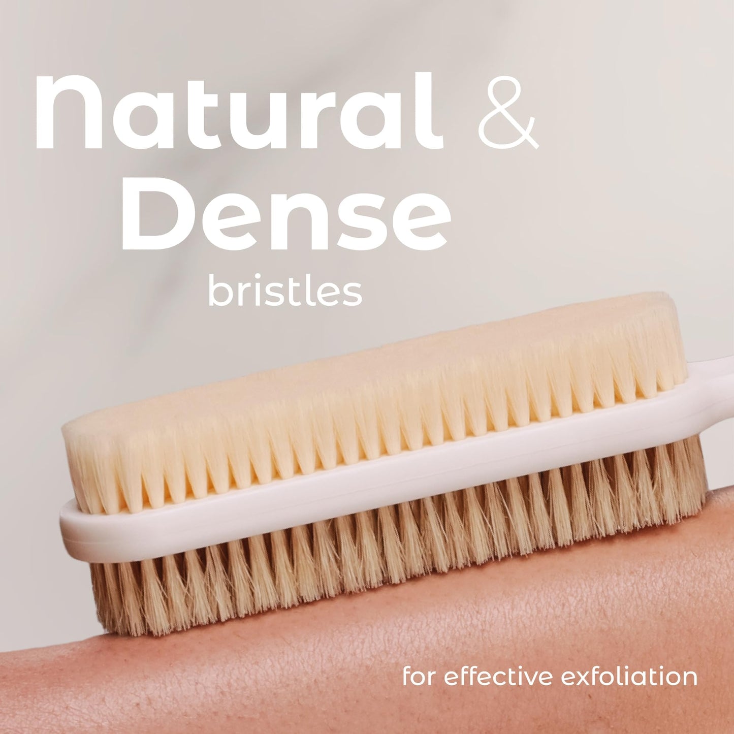 MainBasics Back Scrubber for Shower, Long Handle Body Brush with Dual-Sided Exfoliating and Soft Bristles, 15.75 Inch (White) Beauty & Personal Care MainBasics