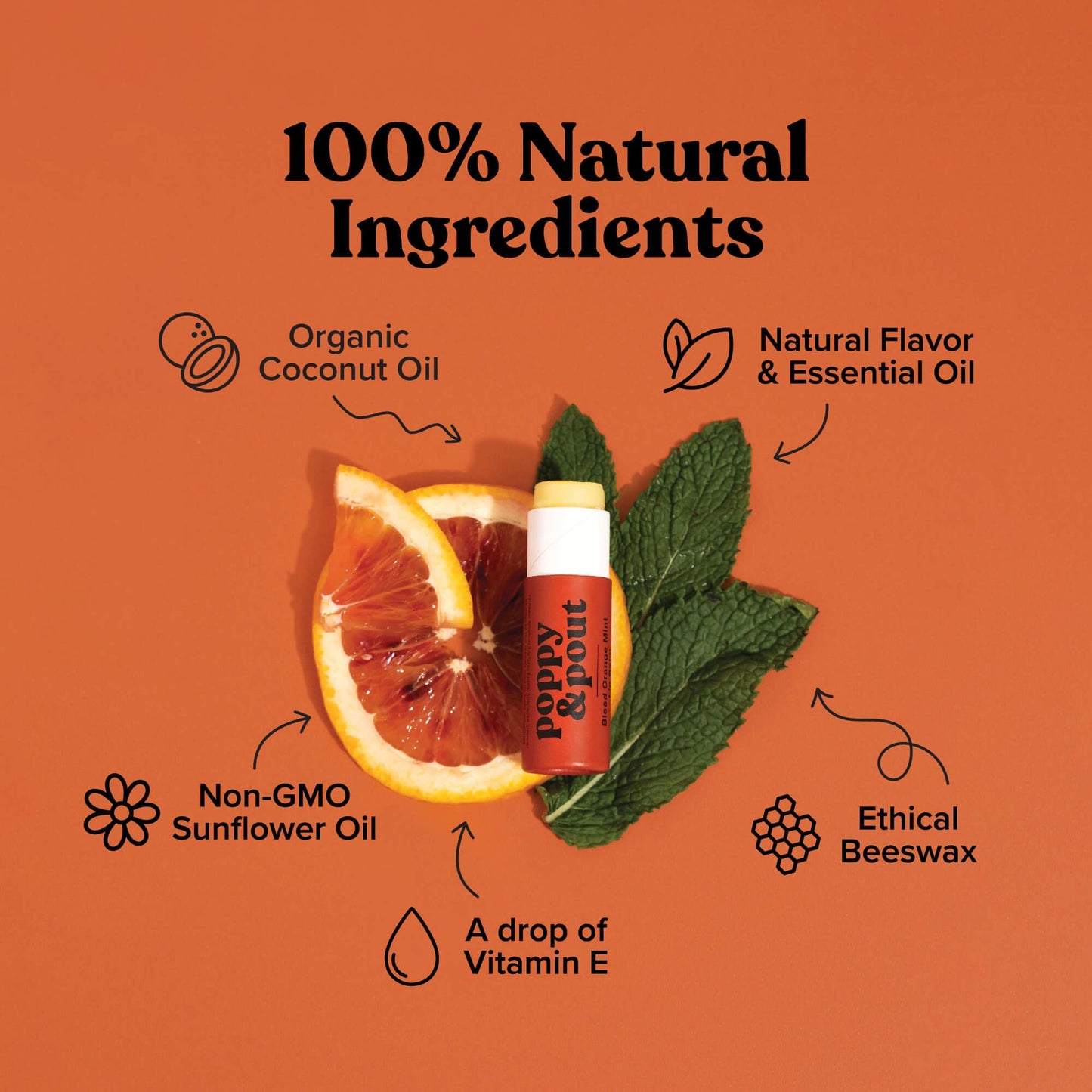 Poppy & Pout Blood Orange Mint Jumbo Lip Balm | All Natural Lip Balms & Moisturizers | Hydrates with Beeswax, Vitamin E, Organic Coconut Oil | Beauty & Personal Care Poppy & Pout