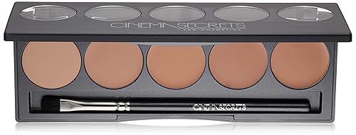 Cinema Secrets Ultimate Foundation 5-in1 Palette - Light-Med Pink-Beige Undertones, 500A series, Buildable Coverage, Long-Wear Matte Finish Beauty & Personal Care CINEMA SECRETS