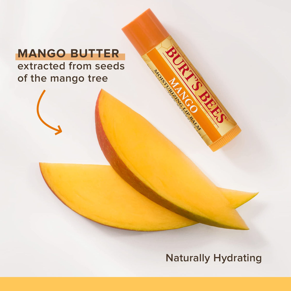 Burt's Bees Mango Moisturizing Lip Balm 0.15 oz Beauty & Personal Care Burt's Bees