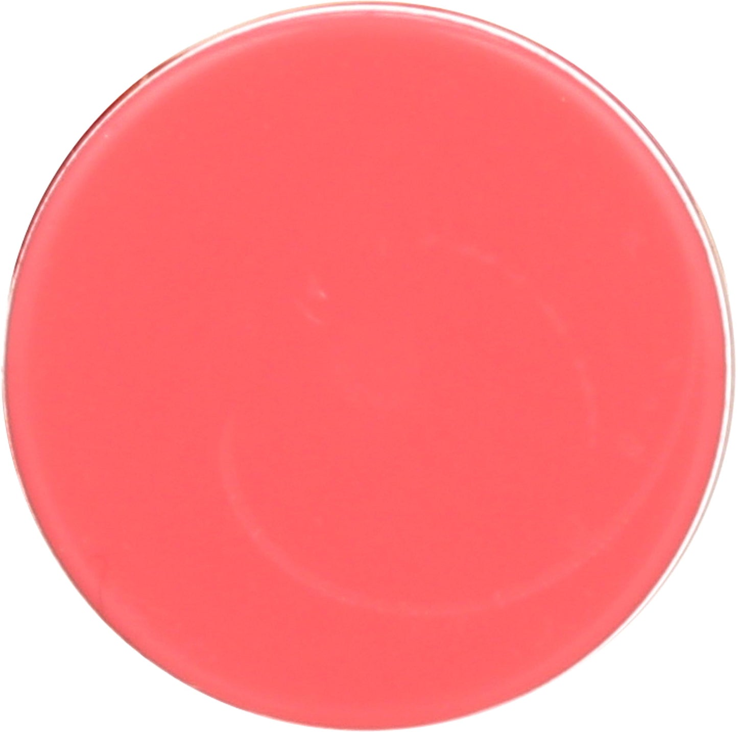 Burt's Bees Pink Grapefruit, Moisturizing Lip Balm Beauty and Personal Care Burt's Bees