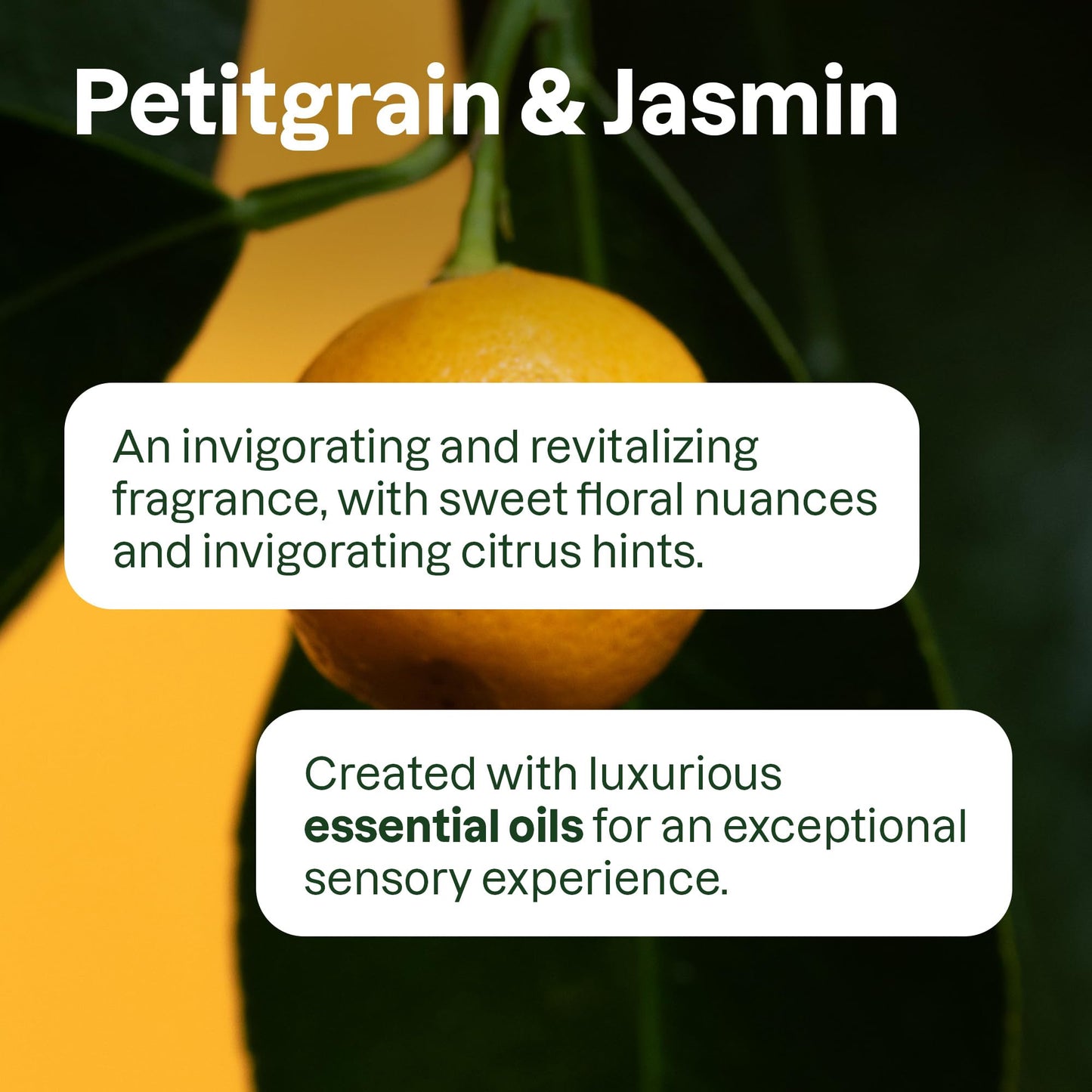 ATTITUDE Body Wash with Essential Oils, EWG Verified Shower Gel, Dermatologically Tested, Plant and Mineral-Based, Vegan Personal Care, Refillable Beauty & Personal Care ATTITUDE