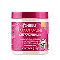 Mielle Organics Babassu & Mint Deep Conditioner with Protein, Moisturizing & Conditioning Deep Treatment, Hydrating Repair for Dry, Damaged, & Frizzy Beauty & Personal Care Mielle Organics
