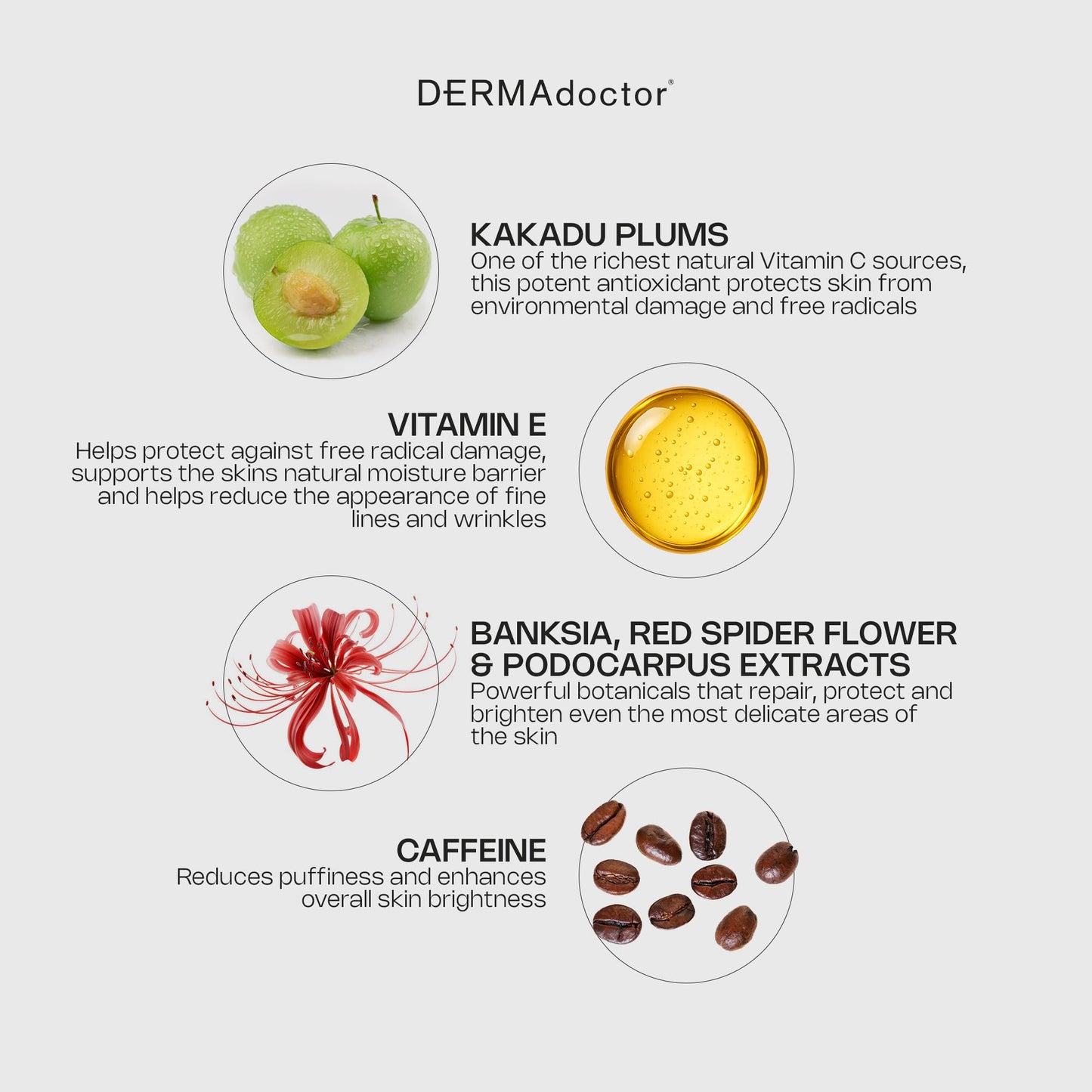 DERMAdoctor vitamin c eye cream with Vitamin E - caffeine under eye cream for Dark Circles, Puffiness, Bags, Eye Fatigue, Wrinkles & Dehydration Beauty & Personal Care DERMAdoctor