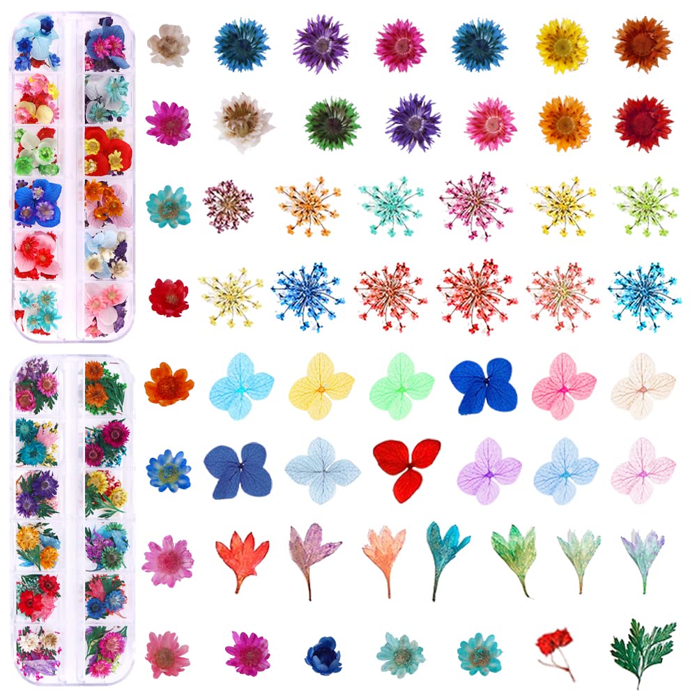 216PCS Dried Flowers - Nail Art Accessories Kits, 57 Color Lovely Natural Dried Flowers for Resin Molds and Nails, YWLI Beauty & Personal Care YWLI
